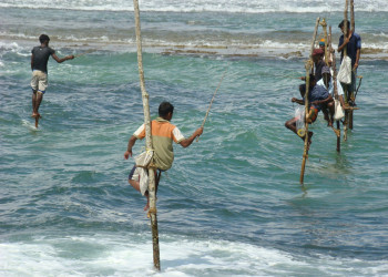 Шри-Ланка, фото № 1173 – фотографии Шри-Ланки