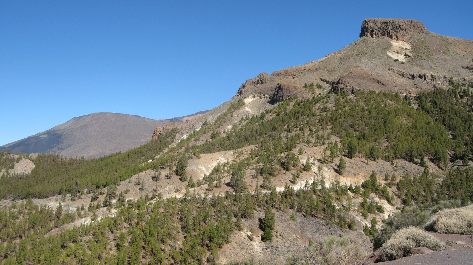 Тейде Национальный парк, Тенерифе остров, Канарские острова, фото № 33934 – фотографии Канарских островов