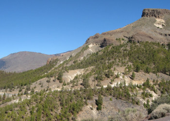 Тейде Национальный парк, Тенерифе остров, Канарские острова, фото № 33934 – фотографии Канарских островов