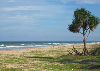 Тринкомали, Шри-Ланка, фото № 52407 – фотографии Шри-Ланки