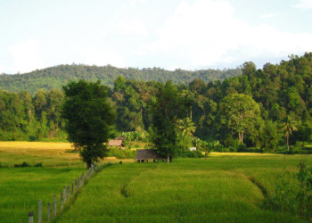 Природа в Мэ-Хонг-Сон, Тайланд. Фото 11 – фотографии Таиланда