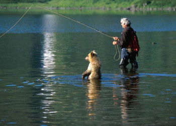 Мишка на Камчатке – фотографии России