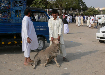 Дубай, ОАЭ, фото № 60741 – фотографии ОАЭ