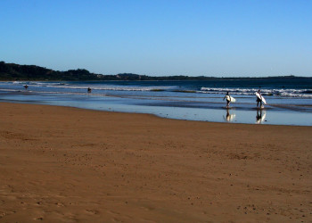 Плайя Гранде, Гуанакасте провинция, Коста-Рика, фото № 39447 – фотографии Коста-Рики