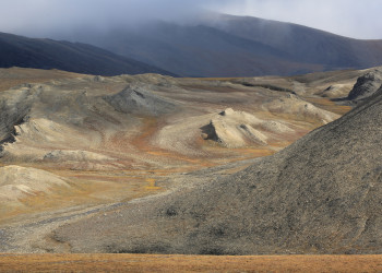 О-в Врангеля, Чукотка, Северный Ледовитый океан. Фото 6 – фотографии России