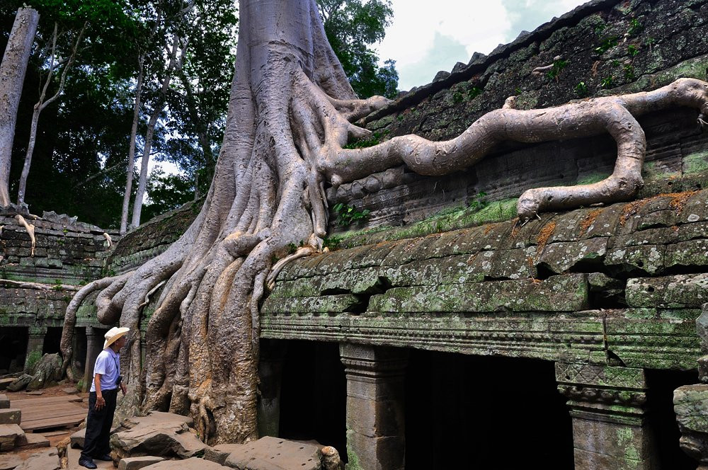 Ta Prohm, Siem Reap – фотографии Камбоджи