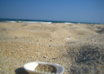 Албена, Болгария, фото № 26414 – фотографии Болгарии