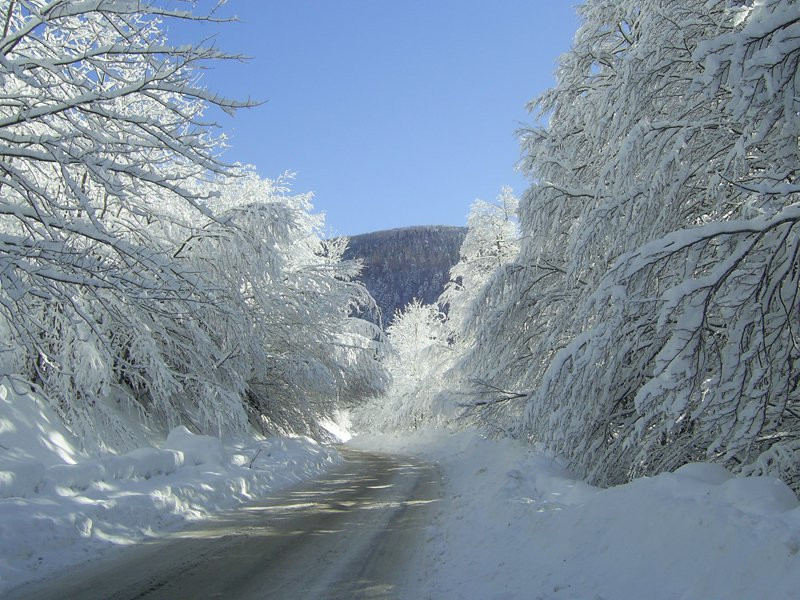 Пейзаж в Колашин, Черногория – фотографии Черногории