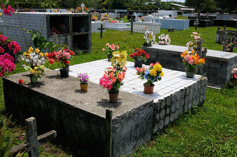 Пуэрто Хименез, Пунтаренас провинция, Коста-Рика, фото № 41090 – фотографии Коста-Рики