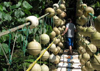 о.Кокос, Пунтаренас провинция, Коста-Рика, фото № 40876 – фотографии Коста-Рики