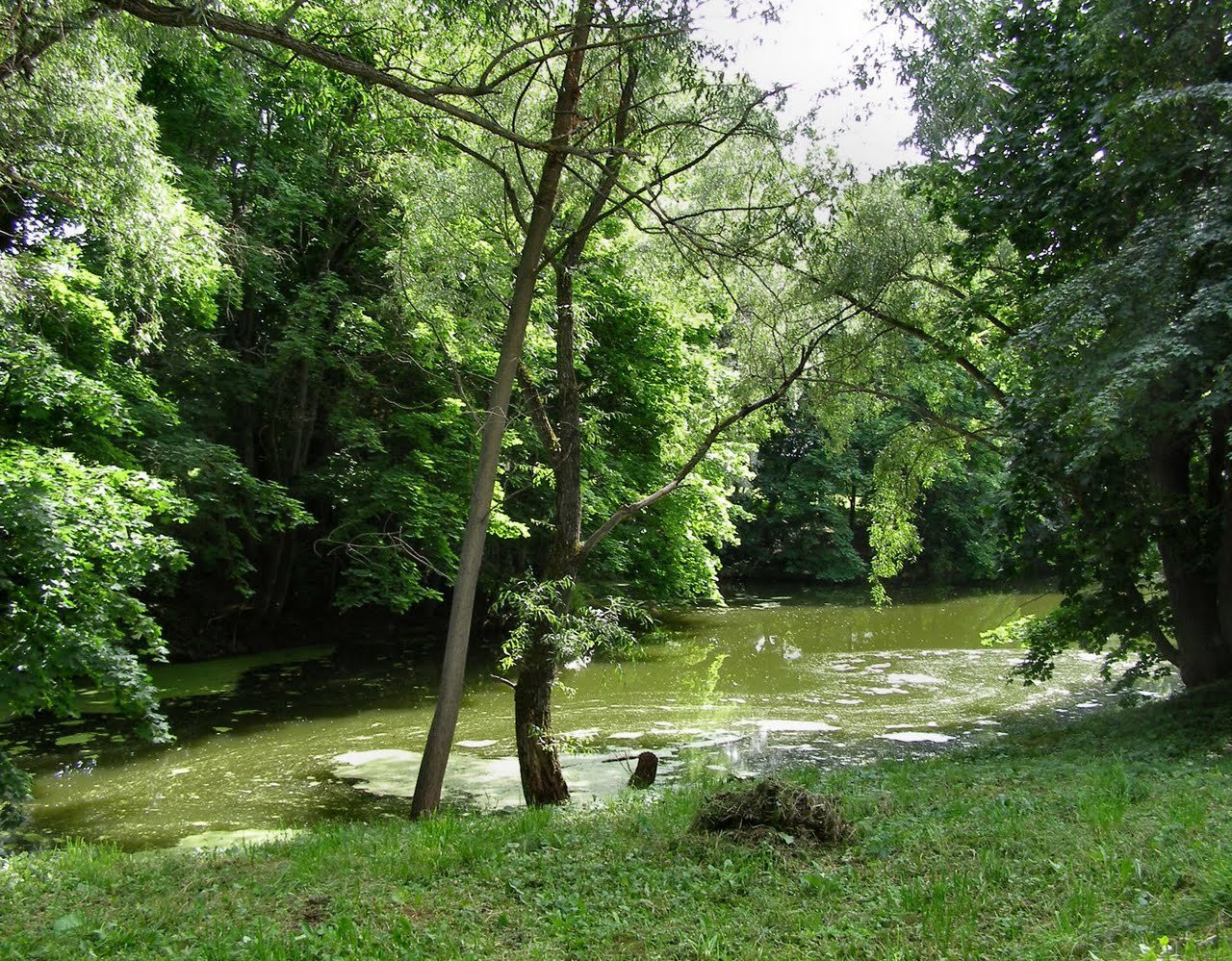 Природа в Большое Болдино, Россия. Фото 4 – фотографии России