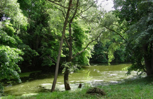 Природа в Большое Болдино, Россия. Фото 4 – фотографии России