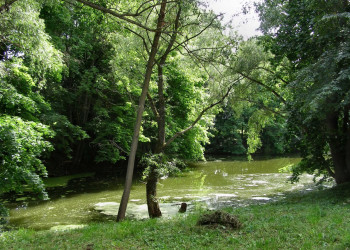 Природа в Большое Болдино, Россия. Фото 4 – фотографии России