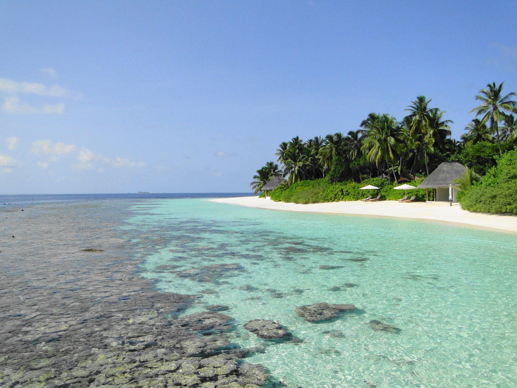 Северный Ари атолл, Ари атолл, Мальдивы, фото № 76868 – фотографии Мальдивских островов