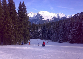 Природа в Мориллоне, Франция. Фото 3 – фотографии Франции