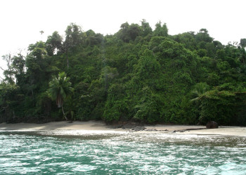 о.Каньо, Пунтаренас провинция, Коста-Рика, фото № 40819 – фотографии Коста-Рики