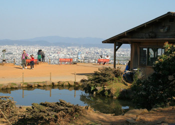 Kyoto, Arashiyama - the monkey park – фотографии Японии