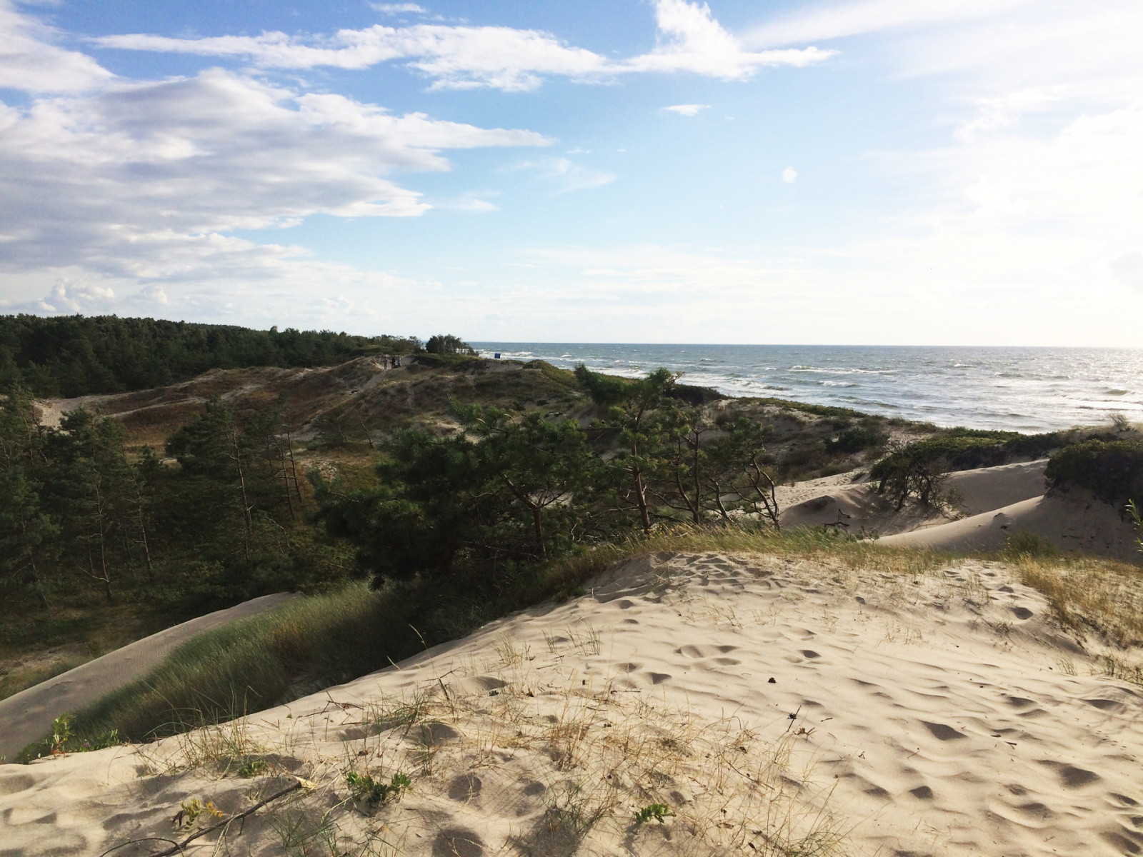 Балтийская коса, Россия – фотографии России
