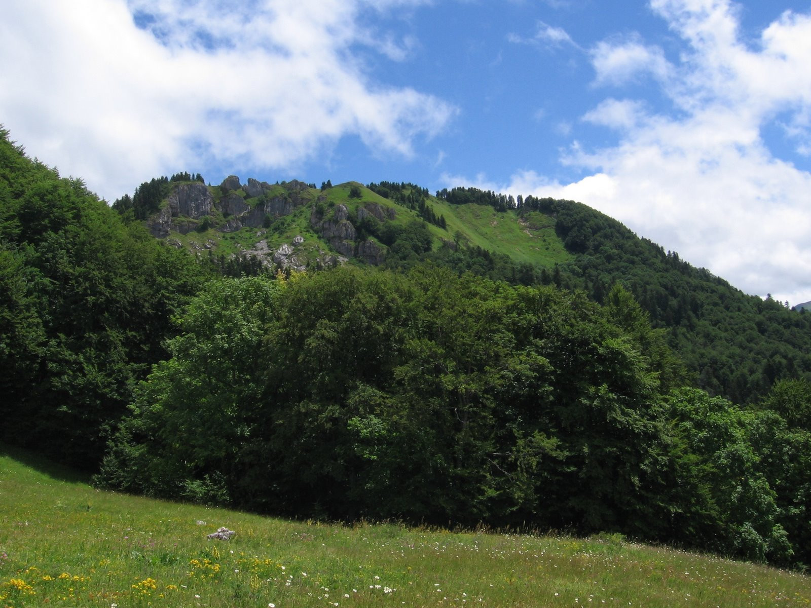Природа Национального парка, Черногория. Фото 16 – фотографии Черногории