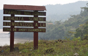 Бауаха-Сонене Национальный Парк (Bahuaja-Sonene National Park) – фотографии Перу