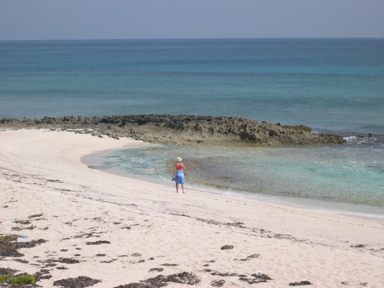 Берега на острове Абако, Багамские острова. Фото 7 – фотографии Багамских островов