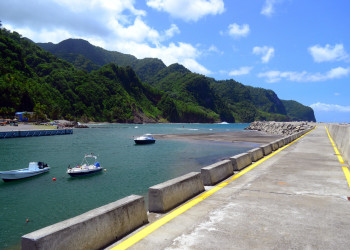 Гран'Ривьер (Grand'Riviere) на Мартинике – фотографии Мартиники