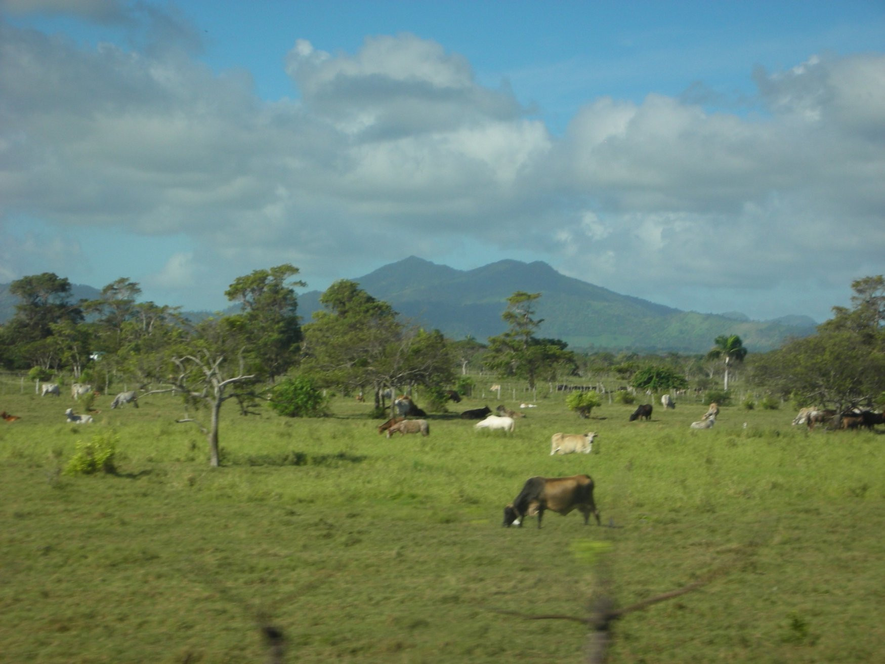 Пунта-Кана, Доминикана, фото № 30534 – фотографии Доминиканы