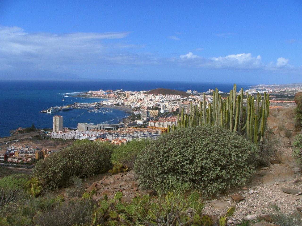Лос-Кристианос, Тенерифе остров, Канарские острова, фото № 33408 – фотографии Канарских островов