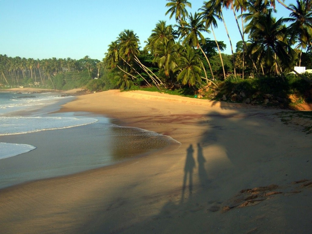 Тангалле, Шри-Ланка, фото № 52380 – фотографии Шри-Ланки