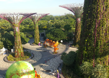 Необычный парк Gardens by the Bay. Фото 2 – фотографии Сингапура