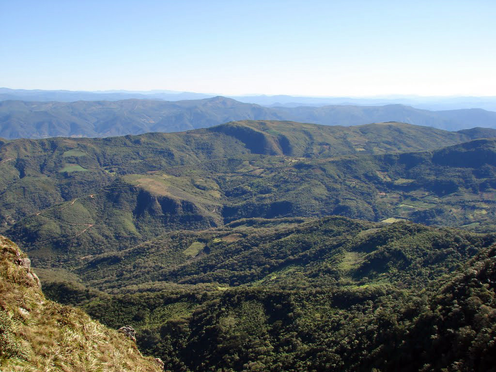 Природа национального парка Амборо – фотографии Боливии