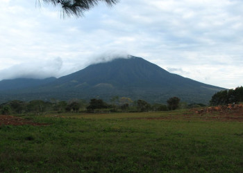 Гуанакастэ Национальный Парк, Гуанакасте провинция, Коста-Рика, фото № 39251 – фотографии Коста-Рики