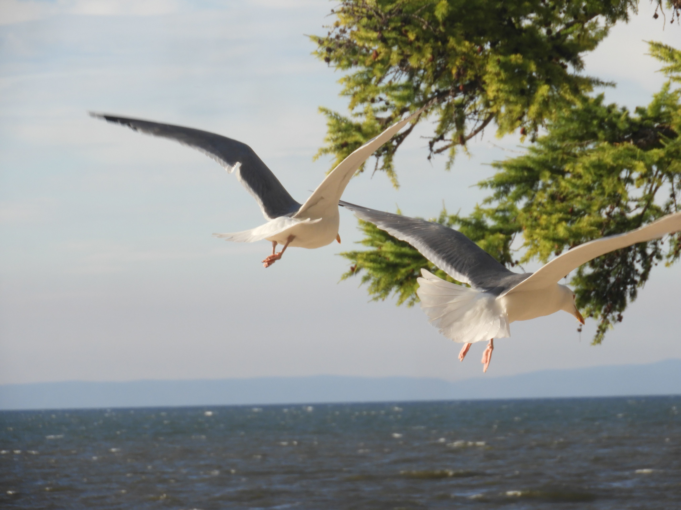 Байкал – фотографии России