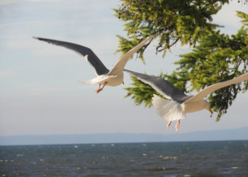 Байкал – фотографии России