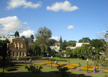 Парк Немецкий лес в Куритибе – фотографии Бразилии