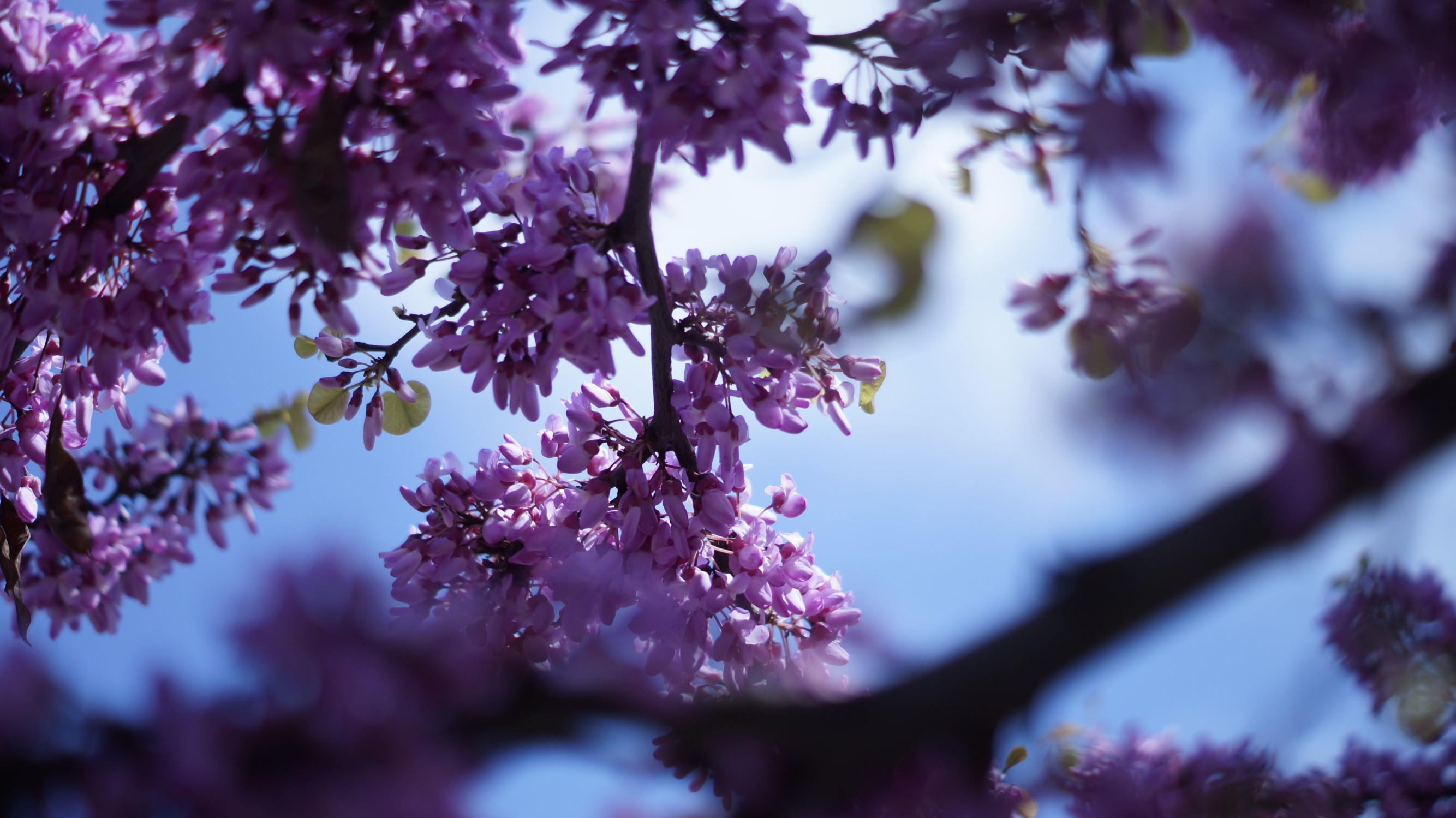 Херсонес Таврический – фотографии России