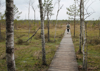 Березинский биосферный заповедник в Беларуси – фотографии Беларуси