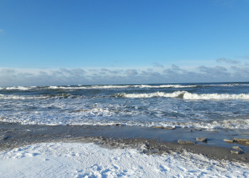 Куршская коса 2 – фотографии России