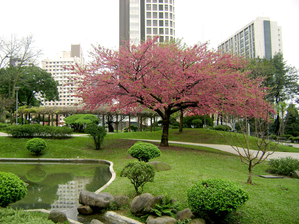 Японская площадь в Курибите – фотографии Бразилии