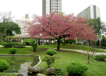 Японская площадь в Курибите – фотографии Бразилии