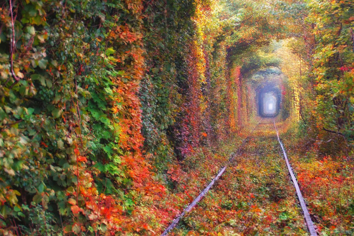 Ботаническое чудо тоннель любви (Tunnel of Love), Ровенская область, Украина – фотографии Украины