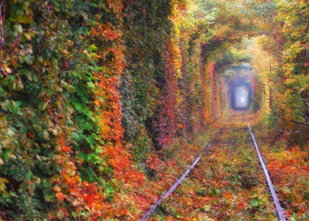 Ботаническое чудо тоннель любви (Tunnel of Love), Ровенская область, Украина – фотографии Украины