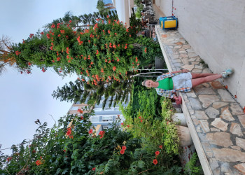 Турция 2023 – фотографии