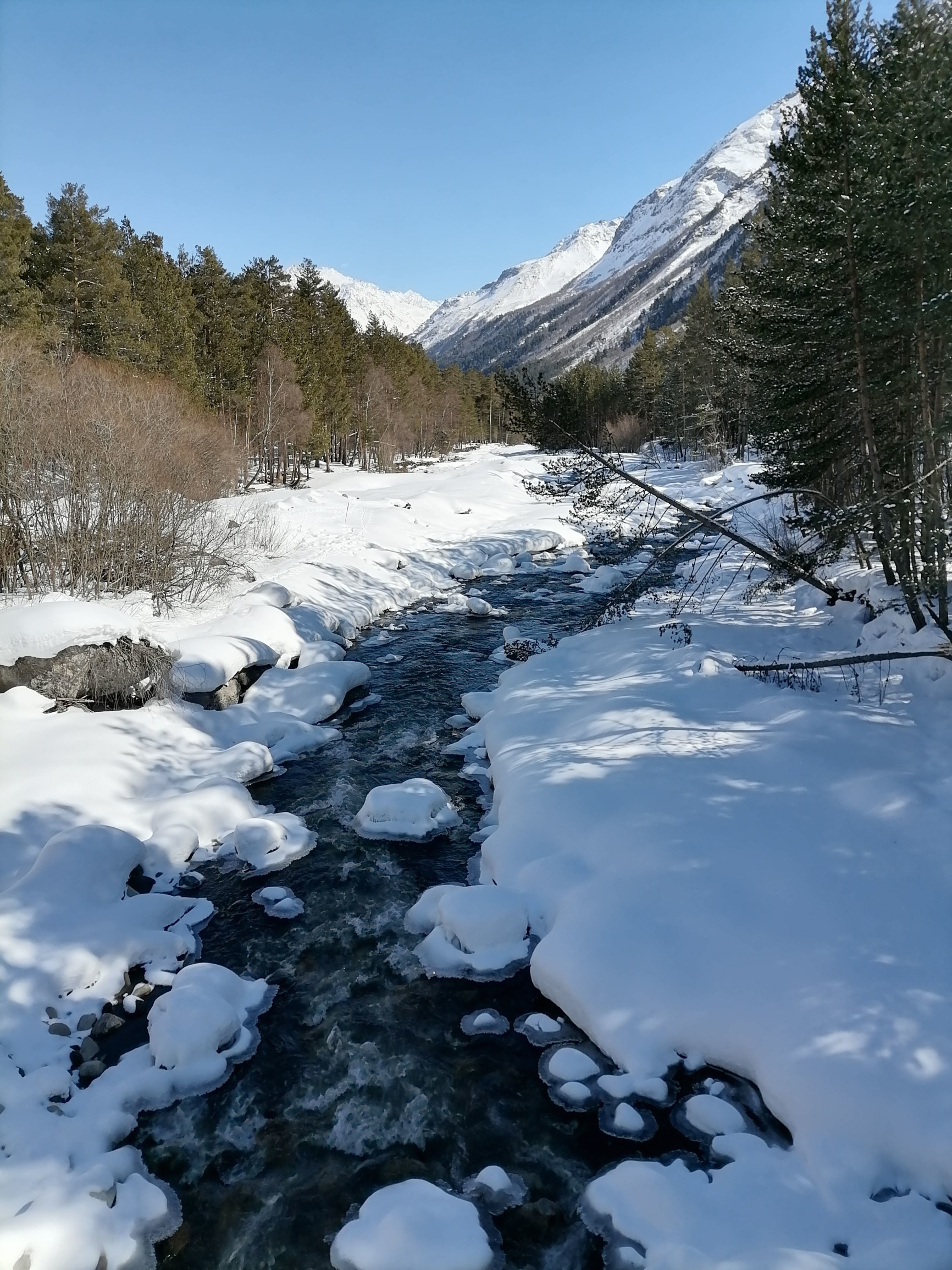 Предгорье Чеген – фотографии России