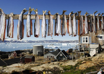 Остров Гренландия, рыбка сушится – фотографии Гренландии