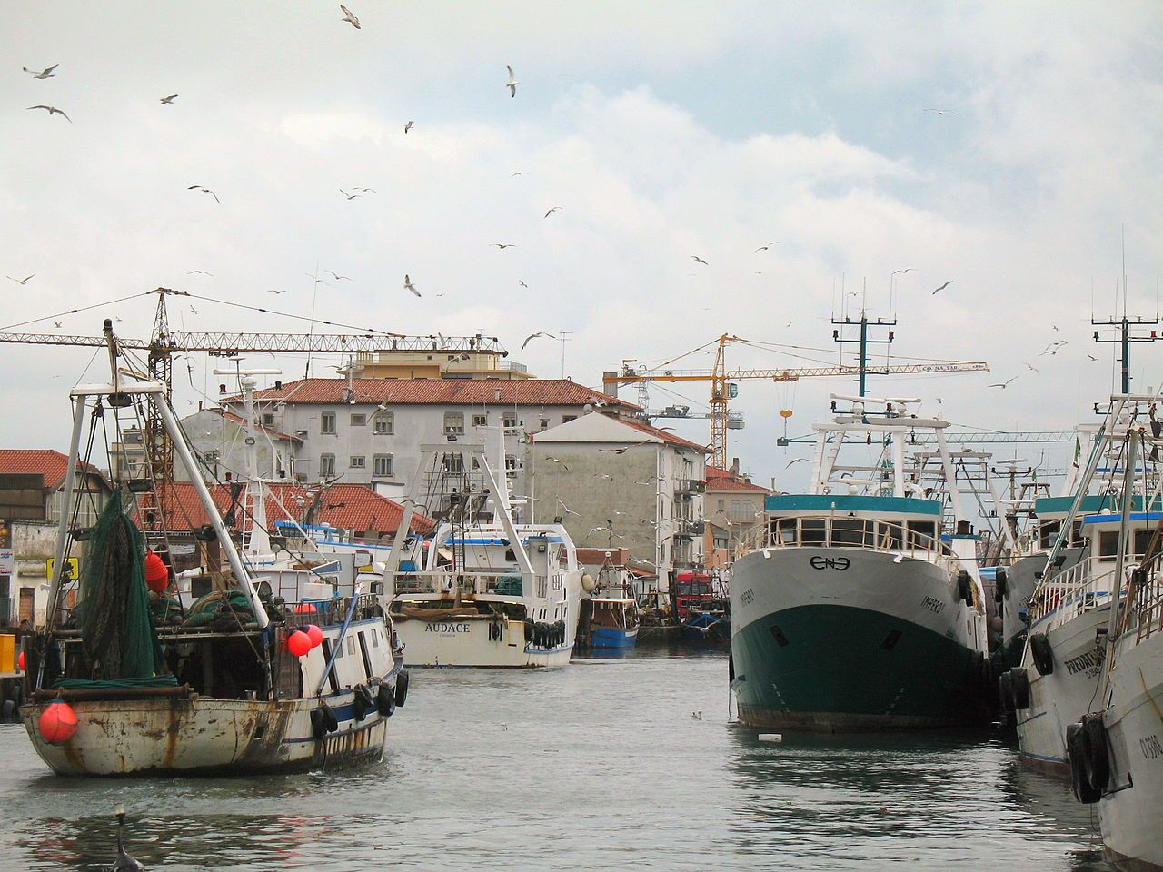 Кьоджа 8 – фотографии Италии