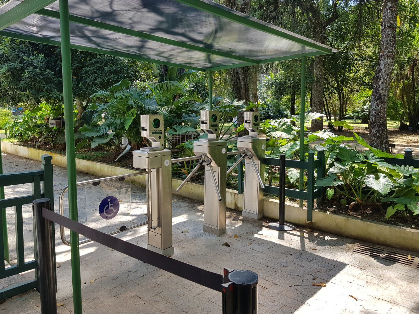 Изначально вход в ботанический сад Рио-де-Жанейро был разрешён для Королевской семьи и приближённых – фотографии Бразилии