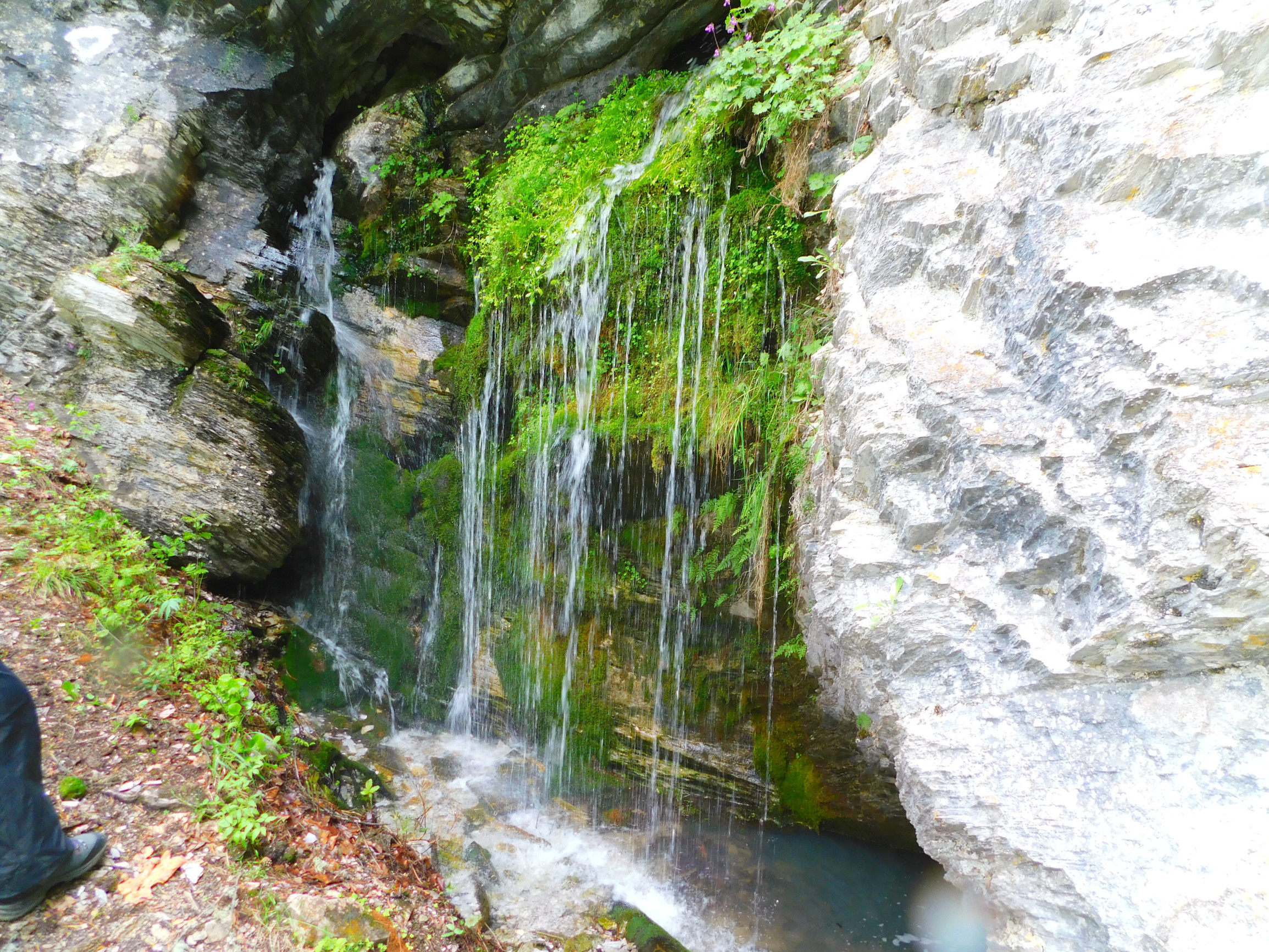 р.Белая – фотографии