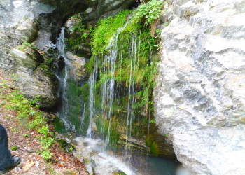 р.Белая – фотографии