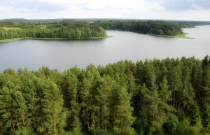 Пейзажи озера Сартай – фотографии Литвы